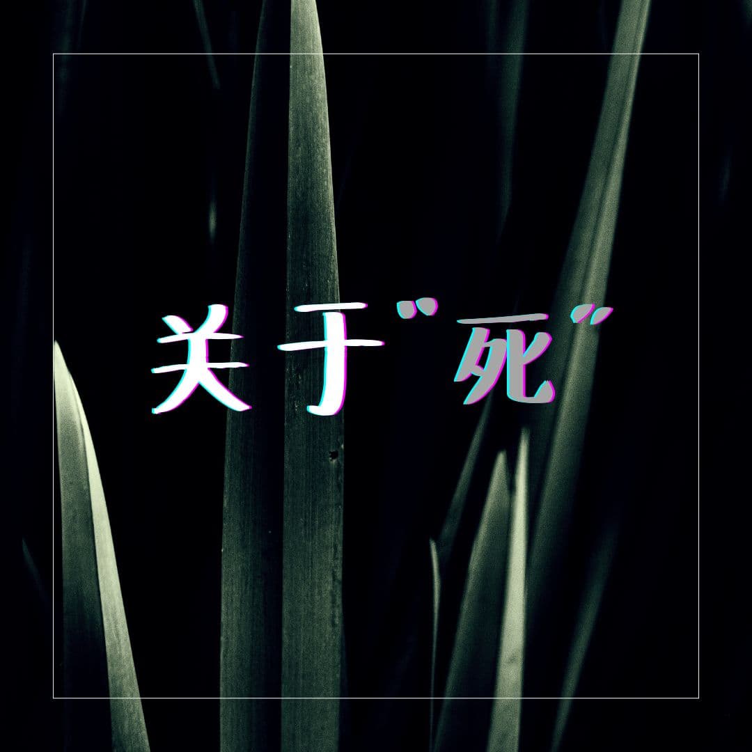 关于“死”